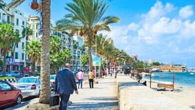 129678 الاسكندرية1013396127