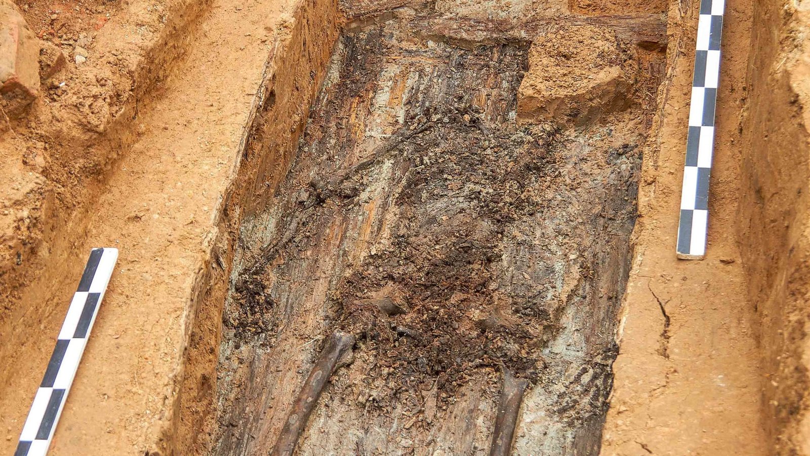 تأويل غريب لحلم ارتداء ملابس العصر الحجري! 1 139564376147670