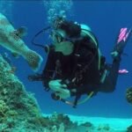 140 020621 diving sites red sea 3