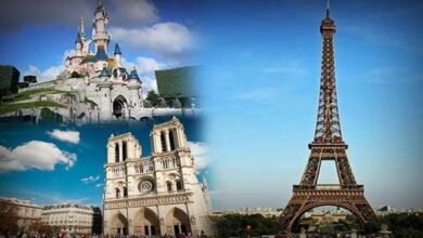 143 164518 places tourism paris 700x4001285435361