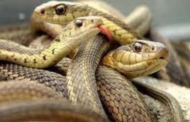 18059881204262024111511104710471445419423