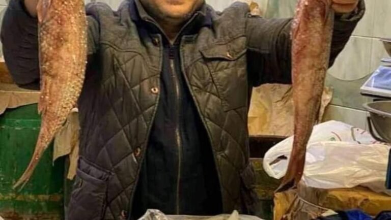 195557532216813780041944991077