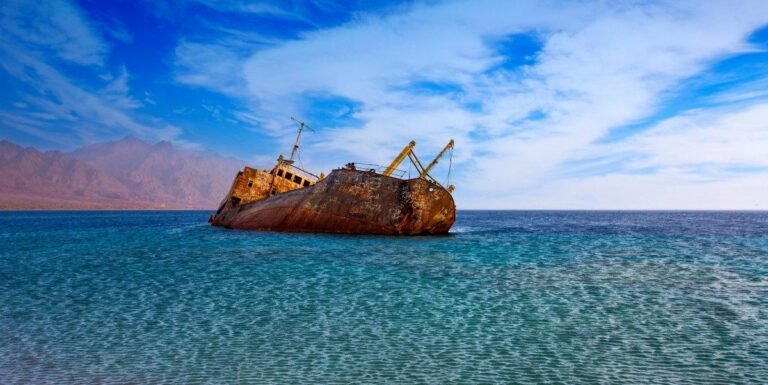 2147021 e1735212401489449648273