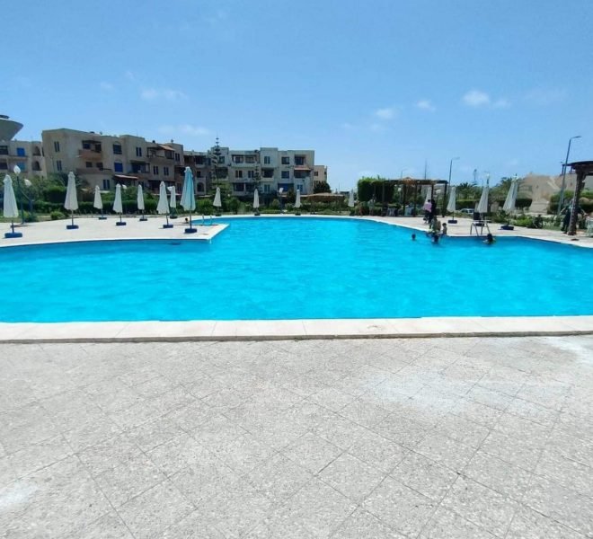 349292004 3493279457621641 1539147390063515937 n 660x6002011926890