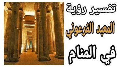 3afe5fb5cb950944499