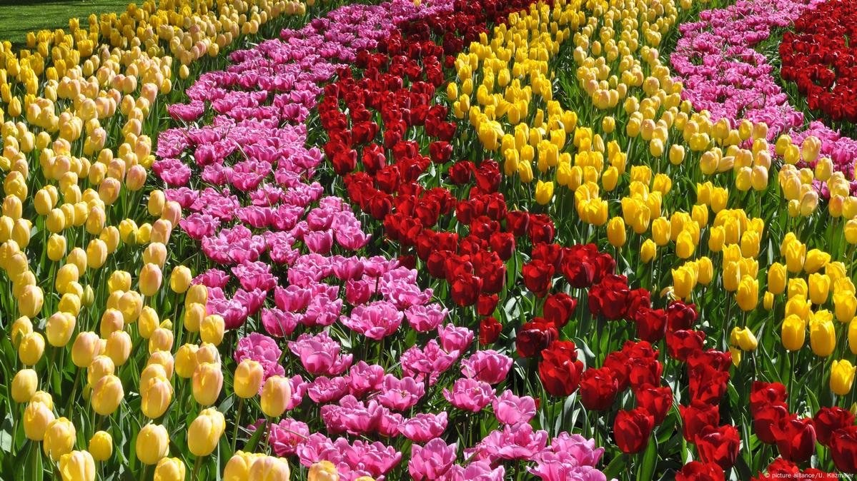 47967127 605606661551