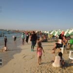 51632 مصيف مطروح يناسب جميع الفئات (3)135010464