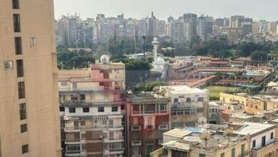 7131027 cd554o1289805426