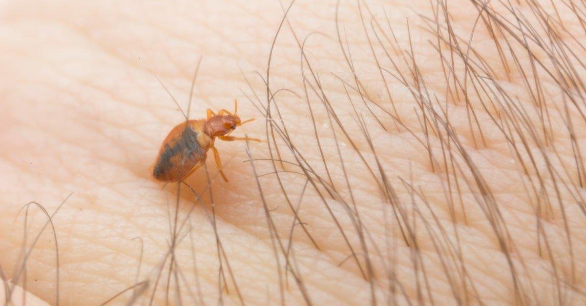 disagsjjxyc71 article402221035.jpg665a31ea0da93402221035