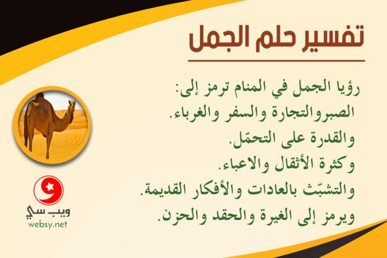 dream camel444034938