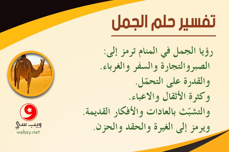 dream camel444034938