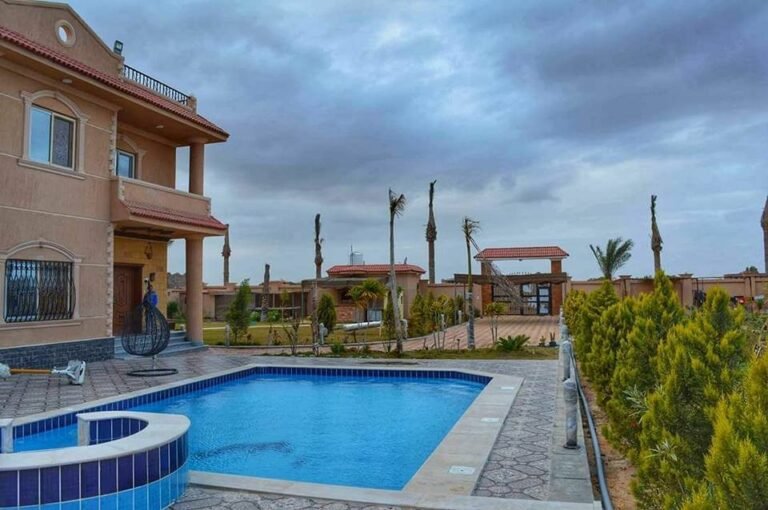 elbashayer 2020 12 16 026180 11774773710