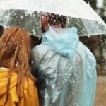 ldiswpvjdjc18 article43327757