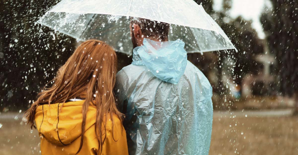 ldiswpvjdjc18 article43327757