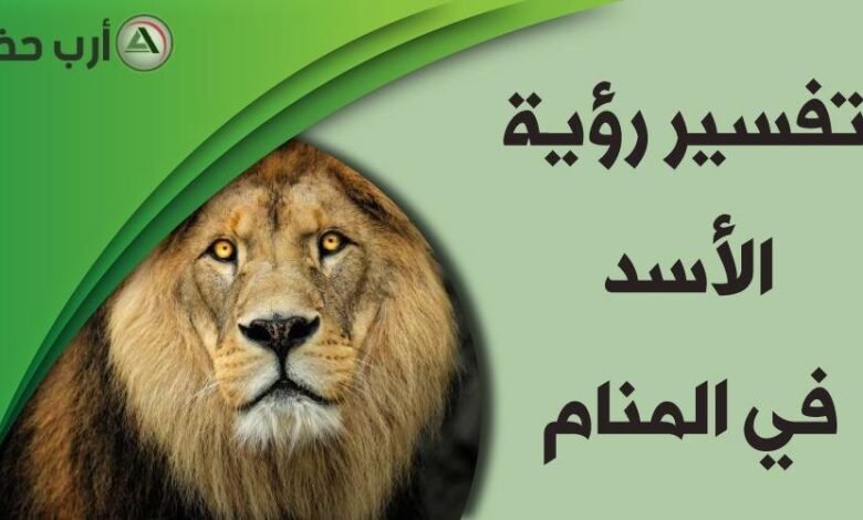 lion in dream964416406.jpg664cd79983e84964416406