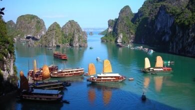 mebusiness.ae 1575477880 1