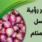 onions in dream1659195123