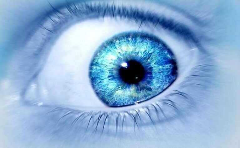 resized 5259651034157793