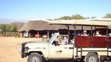 safari1550873001