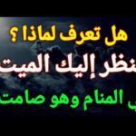 sddefault2035707611