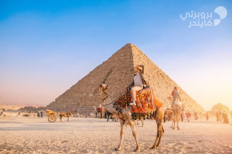 shutterstock 2115357761 1 12029273631