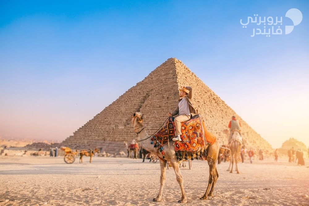 shutterstock 2115357761 1 12029273631