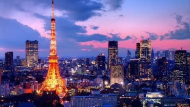 tokyo tourism1396305815
