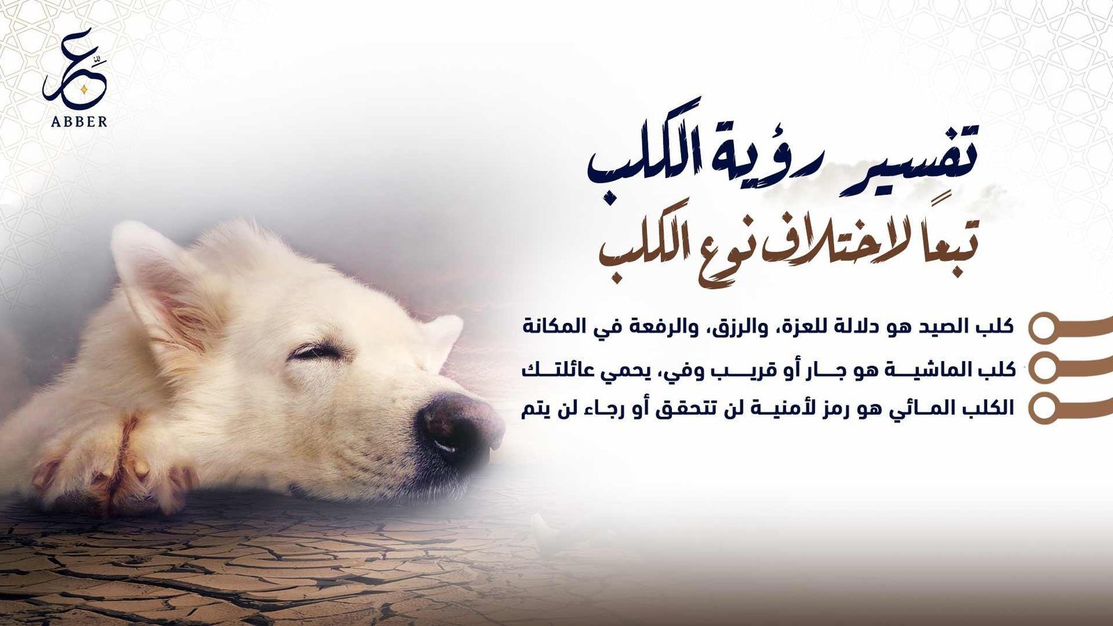 رؤية الكلاب بالمنام 1 ytrzym524675856.jpg6640c68abbd48524675856