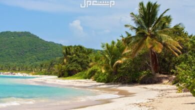 أفضل 10 وجهات سياحية في العالم 2025 كوليبرا، بورتوريكو237761864