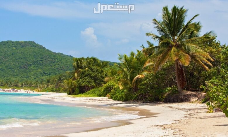 أفضل 10 وجهات سياحية في العالم 2025 كوليبرا، بورتوريكو237761864