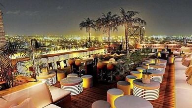 أفضل مطاعم شارع الشيخ زايد131617706