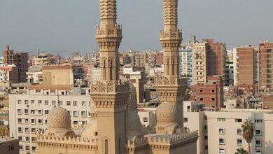 الزقازيق2113925180