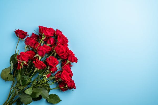 الورد الأحمر في المنام