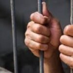 تنزيل 5 1