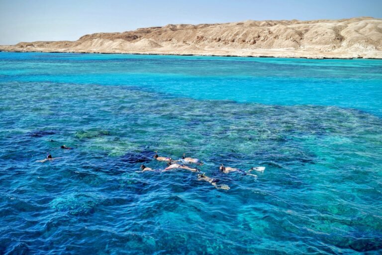 محمية رأس محمد في مصر416532417