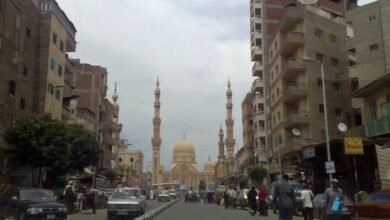 مدينة طنطا290150246