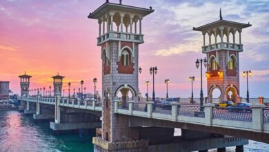 نبذه عامه عن الاسكندريه 1 1024x6731242550266