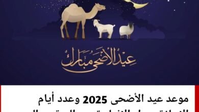 ٢٠٢٥٠٥٠٣ ١٥٢٠٤٢422223946