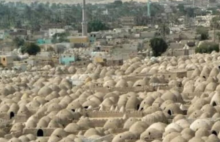 18059881204262024121906245524551610625562