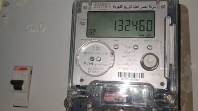 2649599055