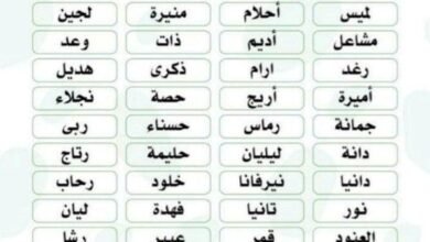 53b1e6dd465fa56e3bd29263f56a8f841899973793