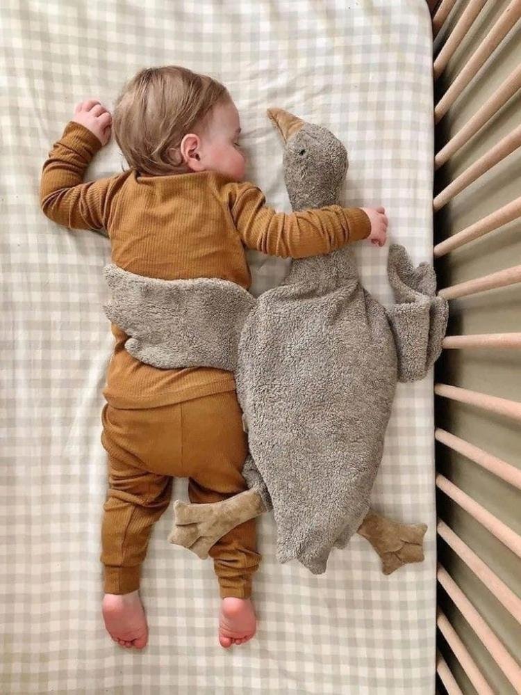 6458cabb 1304 4447 8b9f f815f032c8bd 750.25484199796x1000 lcnfdtrcwfaz6nr2uwooabtyw8if1uijrcd3ftps1185491200