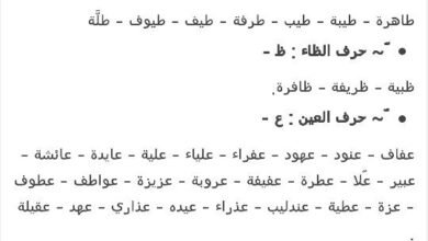 960b93af7ce316c48daba354fa703ad01069204741