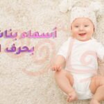 anlayjqvisf51 article1424338409