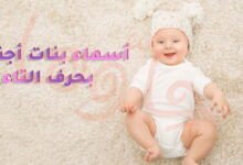 anlayjqvisf51 article1424338409