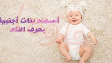 anlayjqvisf51 article1424338409