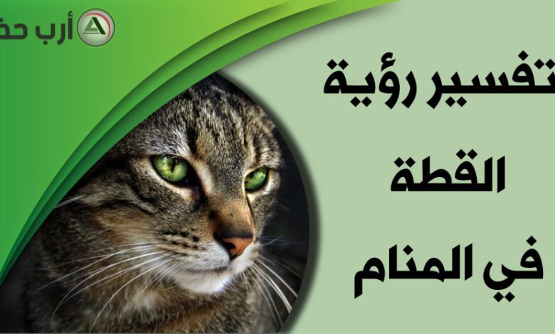 cat in dream1195287163