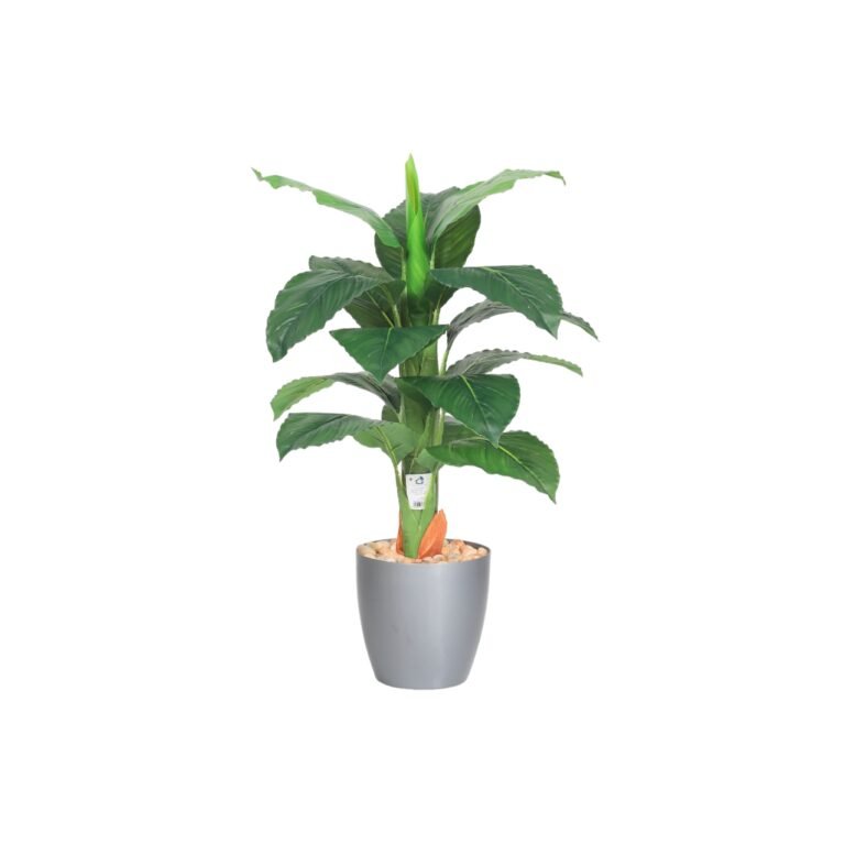 d4afe3b0 966d 44ac bfea c965c36a32c6104261676