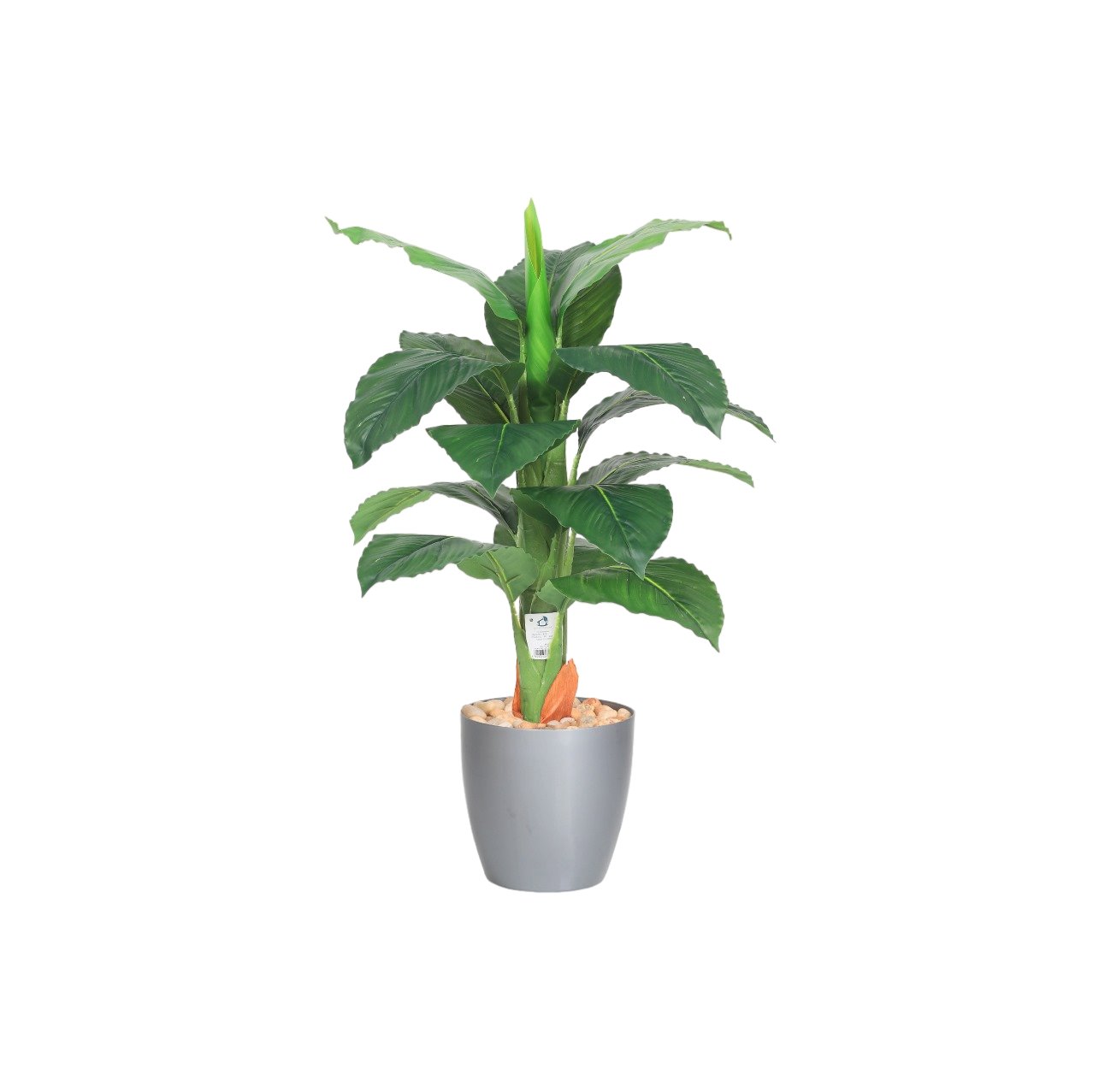 d4afe3b0 966d 44ac bfea c965c36a32c6104261676