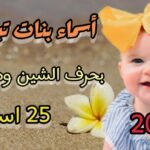 hq7201246211141